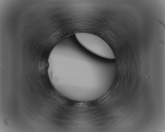 X0000092020082200709061338