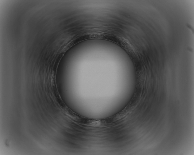 X0000092020083200709061338