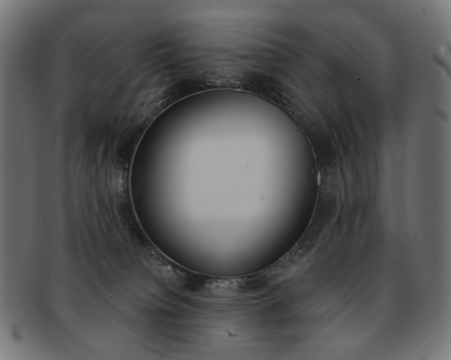 X0000092020084200709061338