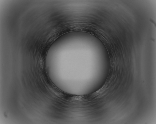 X0000092020086200709061338