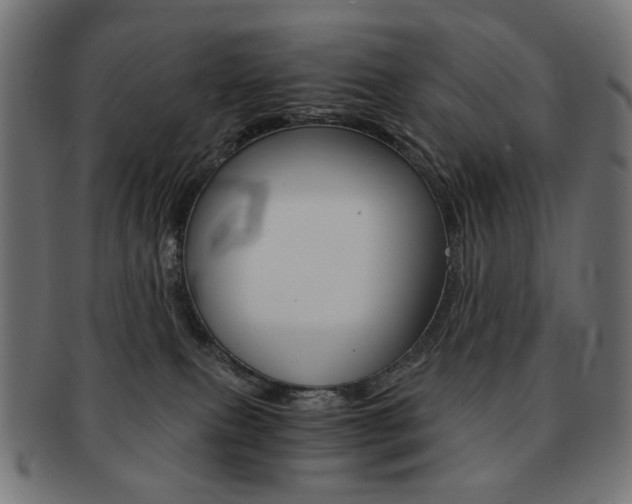 X0000092020087200709061338
