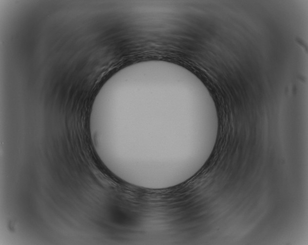 X0000092020088200709061338
