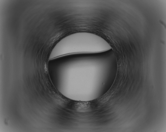 X0000092020089200709061338