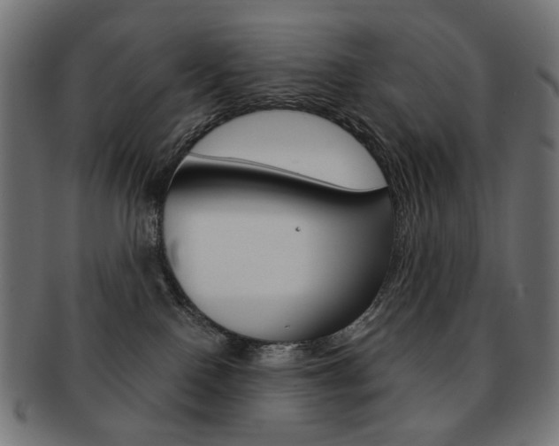X0000092020090200709061338