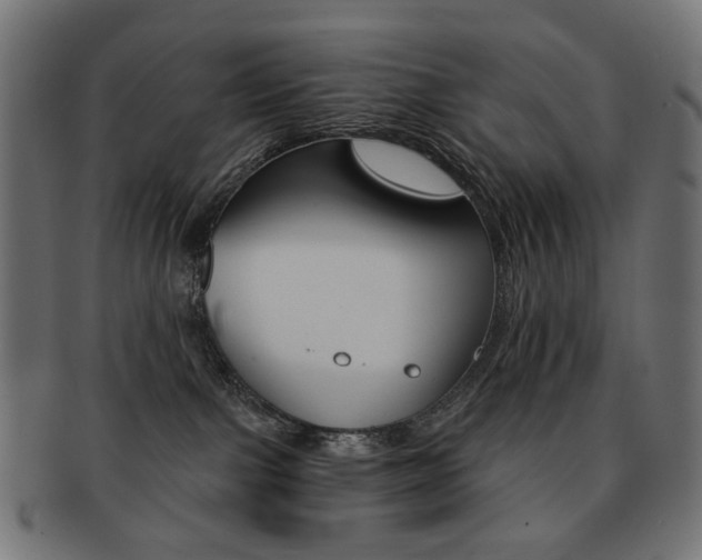 X0000092020091200709061338