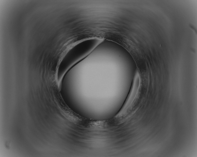 X0000092020092200709061338