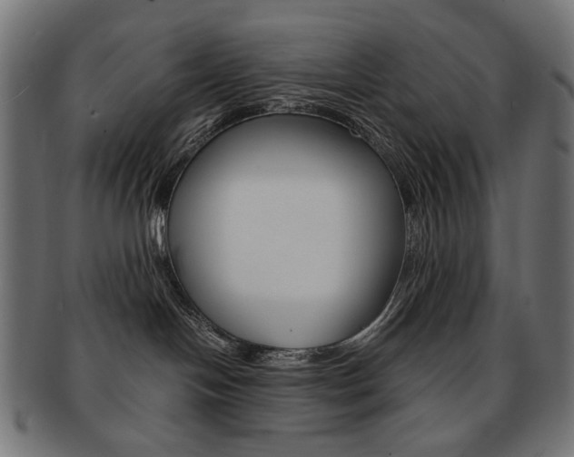 X0000092020094200709061338
