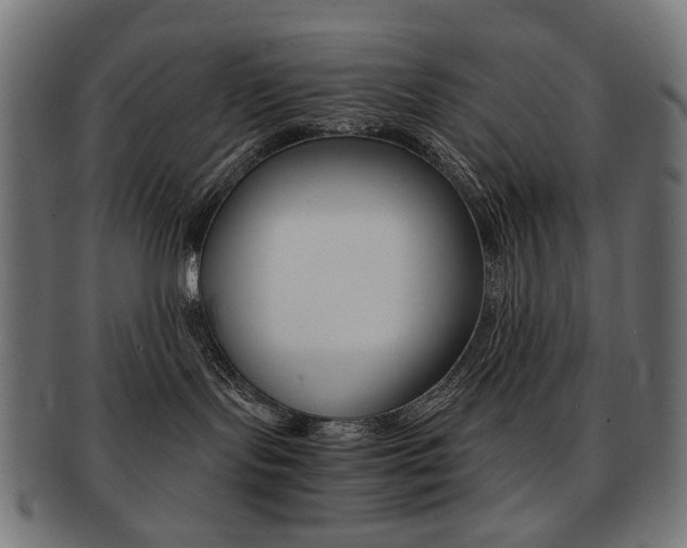 X0000092020095200709061338
