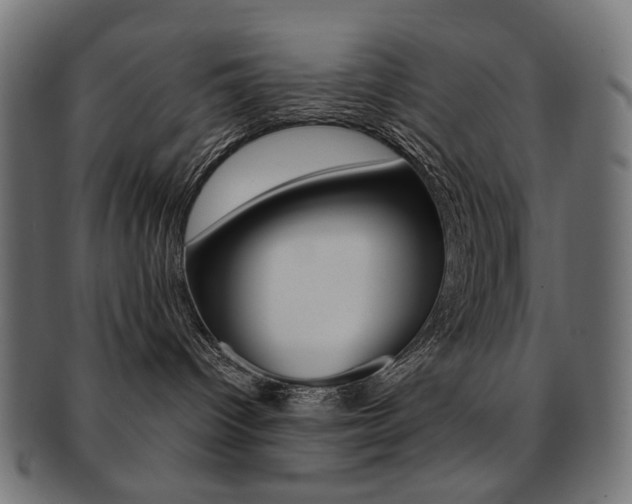 X0000092020096200709061338
