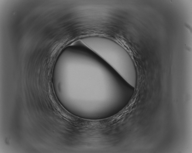X0000092020097200709061338