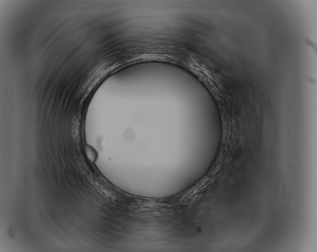 X0000092020098200709061338