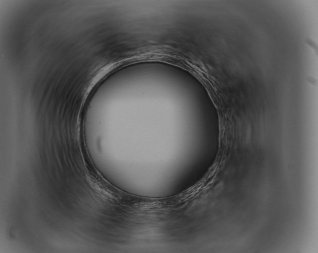 X0000092020100200709061338