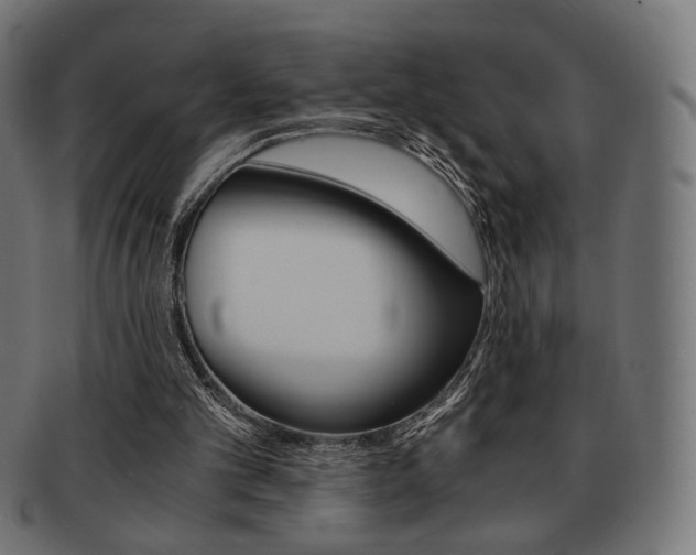 X0000092020101200709061338