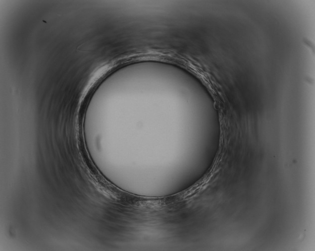 X0000092020102200709061338