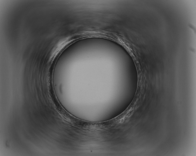 X0000092020103200709061338