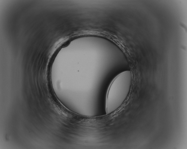X0000092020104200709061338