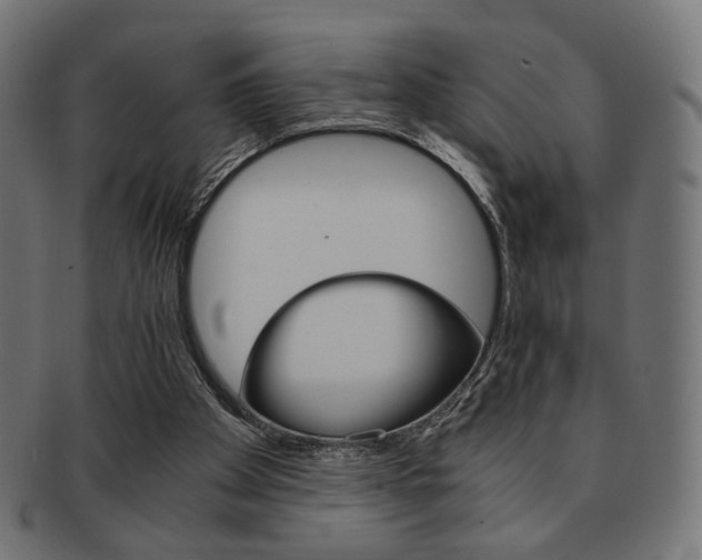 X0000092020105200709061338