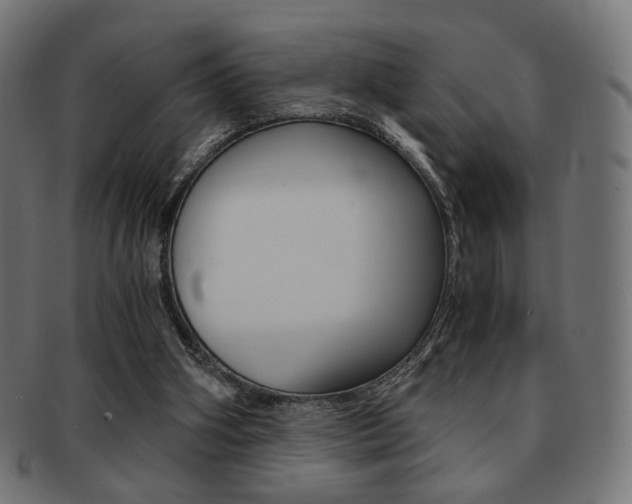 X0000092020106200709061338