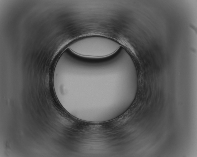 X0000092020108200709061338