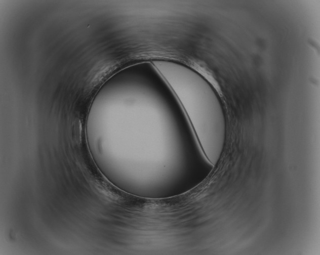 X0000092020109200709061338