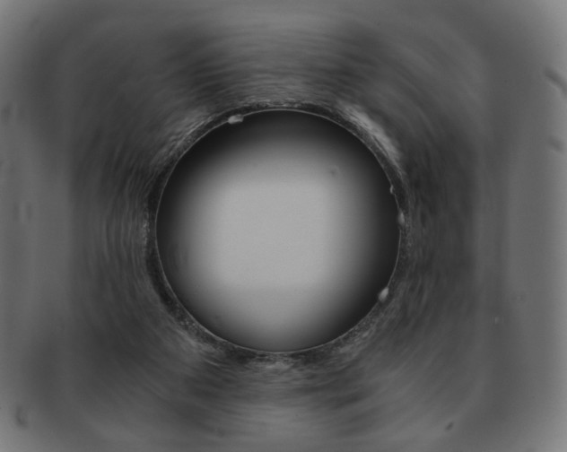 X0000092020113200709061338