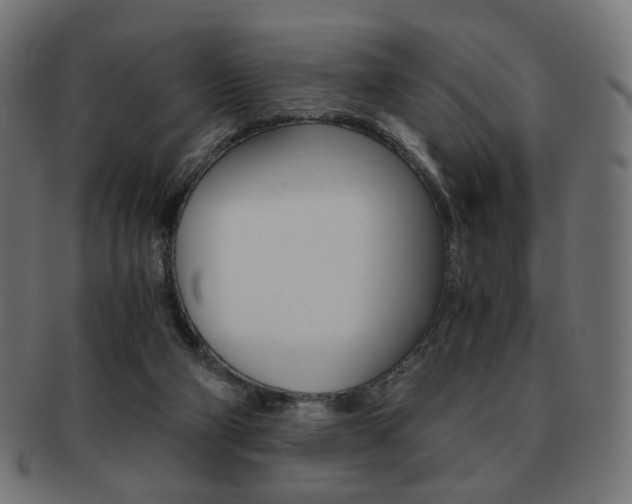 X0000092020114200709061338