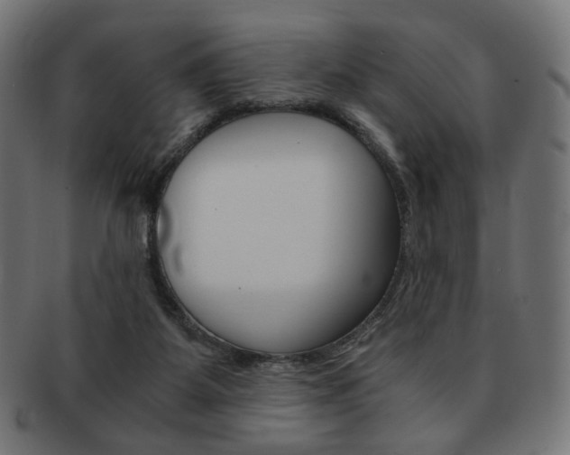 X0000092020115200709061338