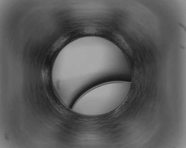 X0000092020116200709061337
