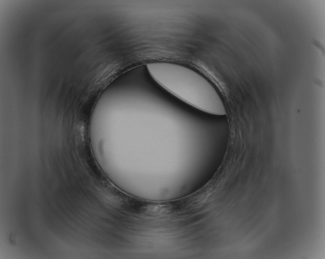 X0000092020117200709061337