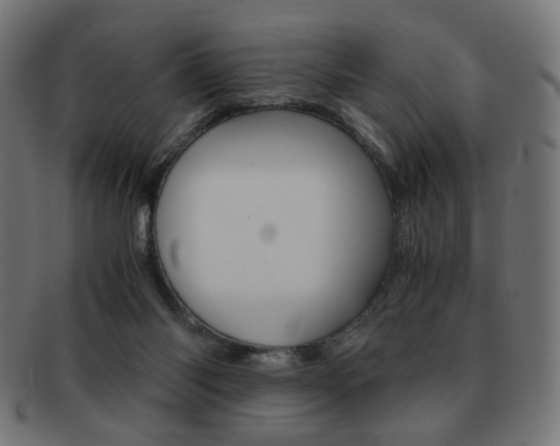 X0000092020118200709061337