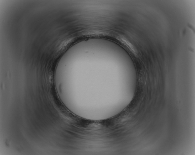 X0000092020119200709061337