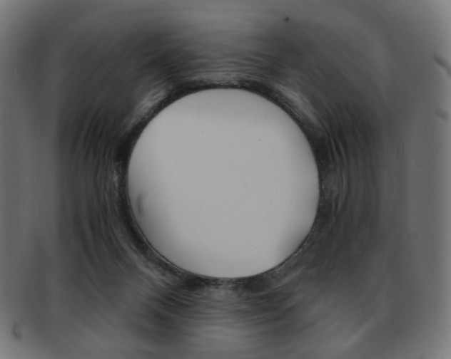 X0000092020120200709061337