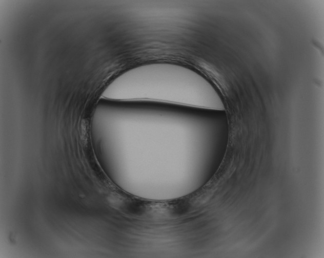 X0000092020121200709061337