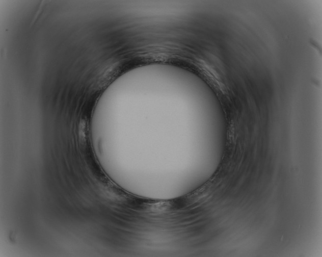 X0000092020122200709061337