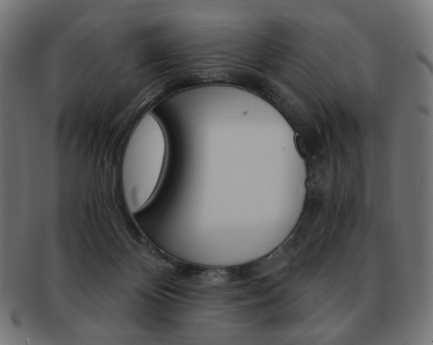 X0000092020124200709061337