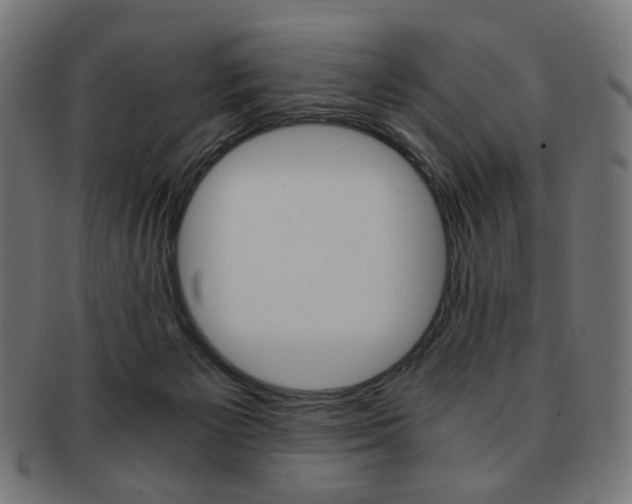 X0000092020125200709061337
