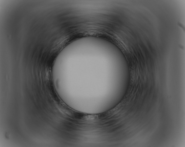 X0000092020126200709061337