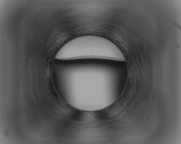 X0000092020127200709061337