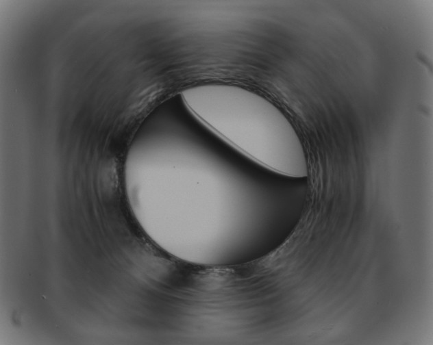 X0000092020128200709061337