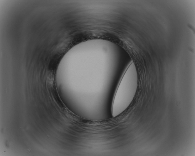 X0000092020129200709061337