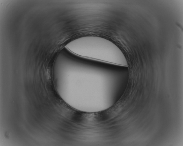 X0000092020131200709061337