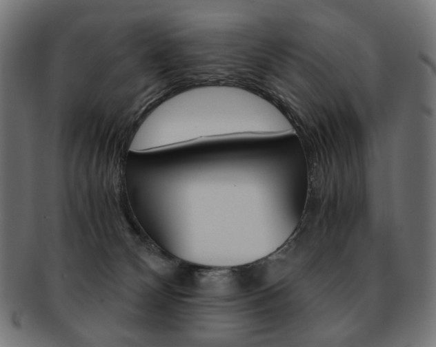 X0000092020132200709061337