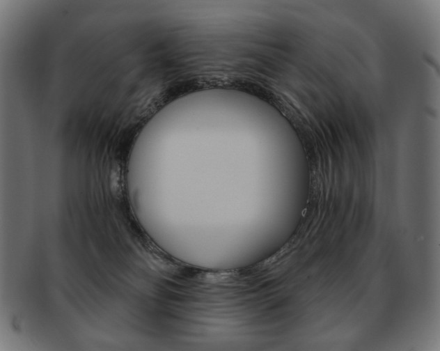 X0000092020134200709061337