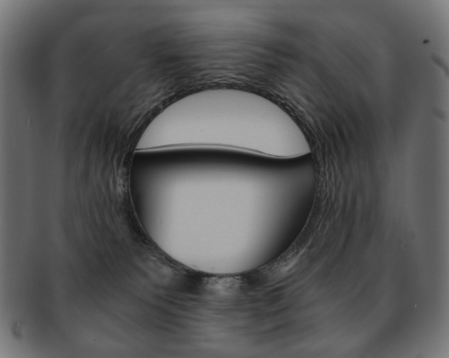 X0000092020135200709061337