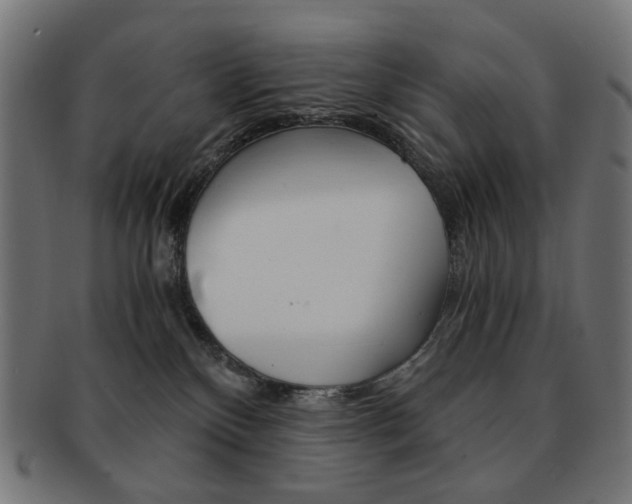 X0000092020136200709061337
