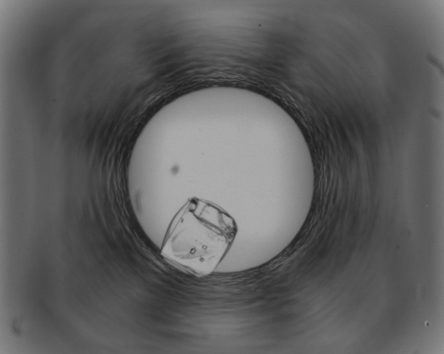 X0000092020137200709061337