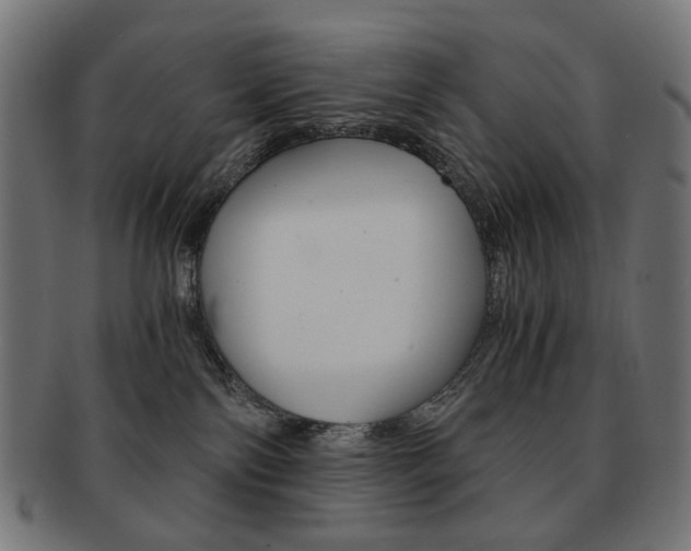 X0000092020138200709061337