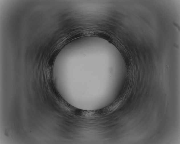 X0000092020139200709061337