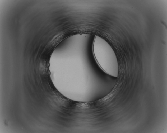 X0000092020140200709061337