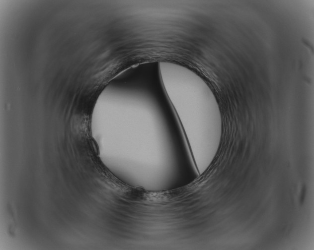X0000092020141200709061337